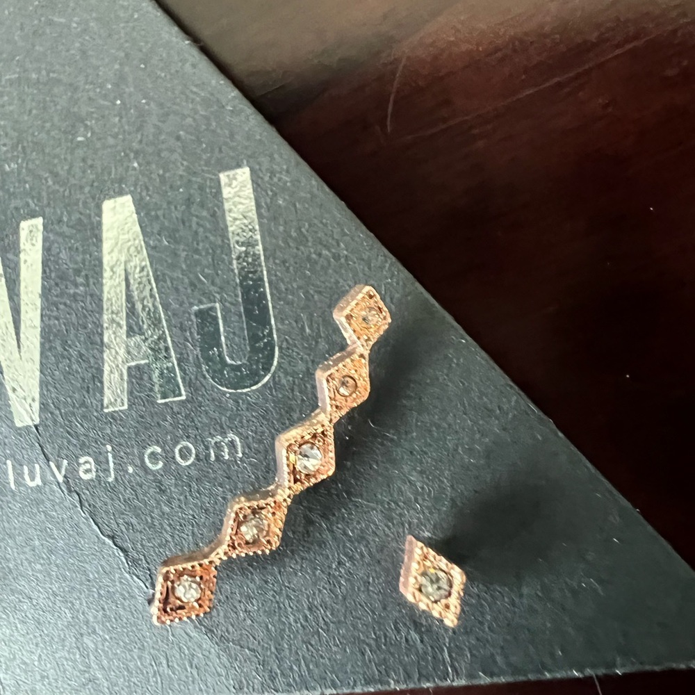 Luv AJ Rose Gold  Earrings